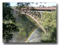  - victoria-falls-bridge-set-to-last-another-100-years-21425454