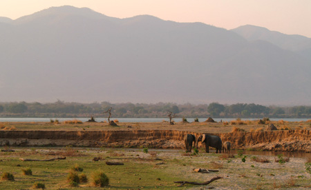 Zambezi Seaway - a project that threatens various ecosystems