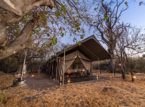 Accommodation in Okavango Delta - safari camps and lodges