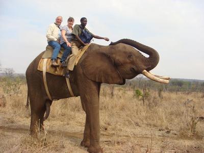 Riding Tusk the African Elephant