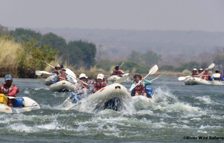 zambezi canoe trip