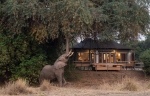 Chikwenya Camp - Mana Pools National Park