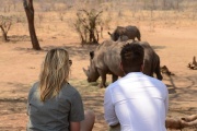 Rhino & walking safari - Zambia