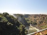 View from the bridge canopy tour