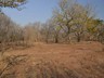 Natural dry season bush, with irrigation this will become lush gardens