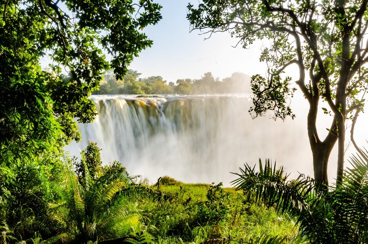 A Visit to the Victoria Falls Rainforest - A personal account