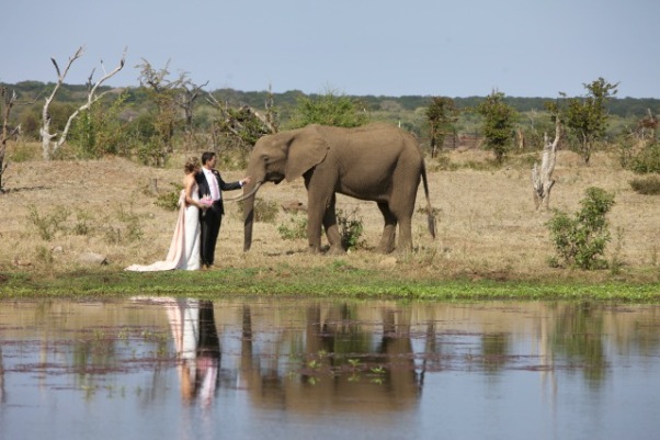 Wedding In Victoria Falls