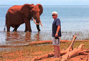  Musango Bull Elephant