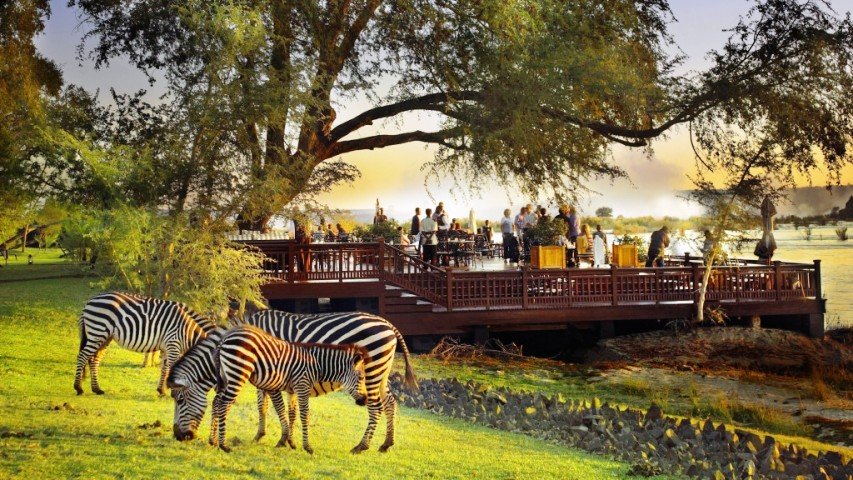 Riverside sun deck with Zebras in the foreground
